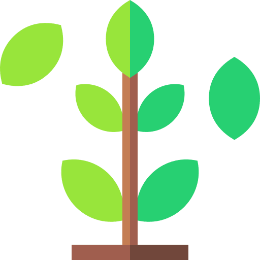 Green tea plant properties green tea icon Green tea plant properties green tea icon