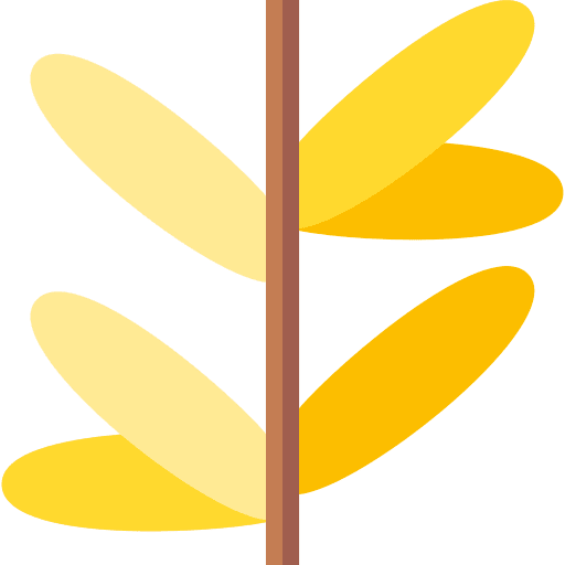 Rooibos sprout leaf nature icon Rooibos sprout leaf nature icon