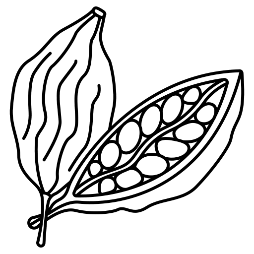 Cardamom spice food and restaurant seed icon