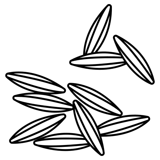 Cumin food and restaurant nature spice icon