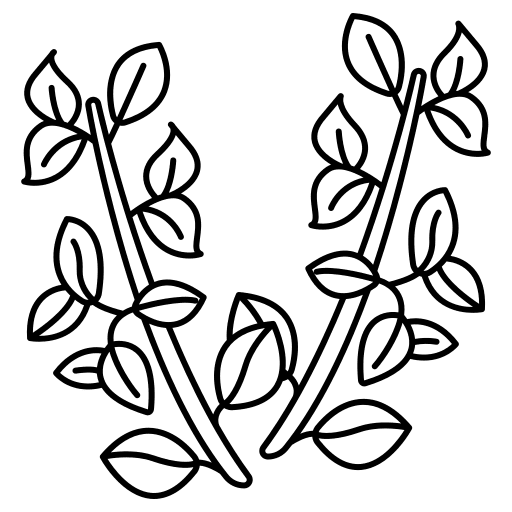Thyme spice herb plant icon