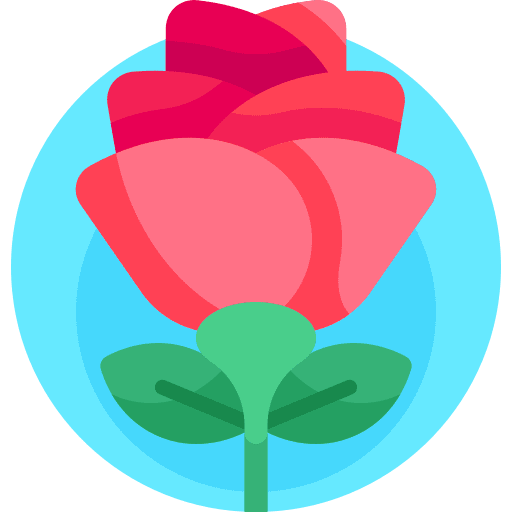 Rose flower nature bloom icon Rose flower nature bloom icon