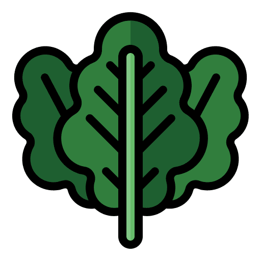 Kale nutrition kale vegetarian icon