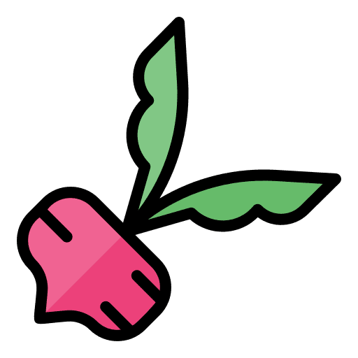 Beetroot healthy food vegan nutrition icon Beetroot healthy food vegan nutrition icon