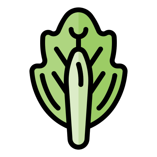 Cabbage gastronomy vegan healthy food icon Cabbage gastronomy vegan healthy food icon