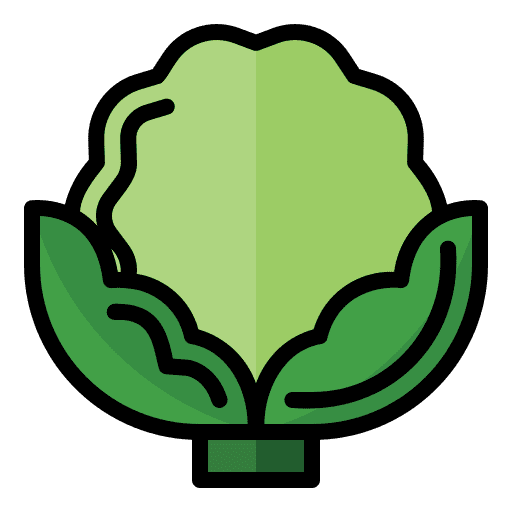 Cauliflower nutrition healthy food gastronomy icon Cauliflower nutrition healthy food gastronomy icon