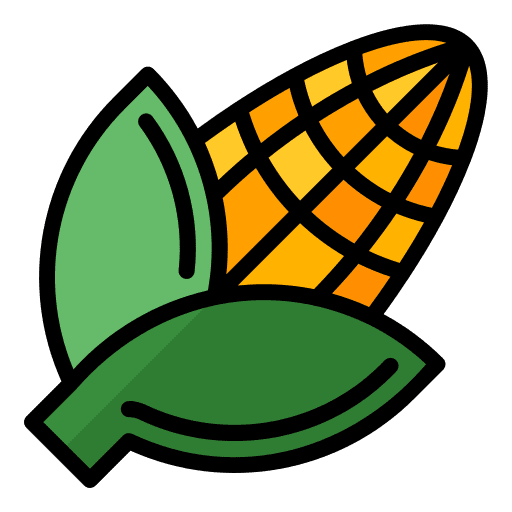 Corn gastronomy food and restaurant vegetable icon Corn gastronomy food and restaurant vegetable icon