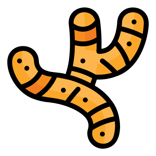 Ginger turmeric healthy food vegetable icon Ginger turmeric healthy food vegetable icon