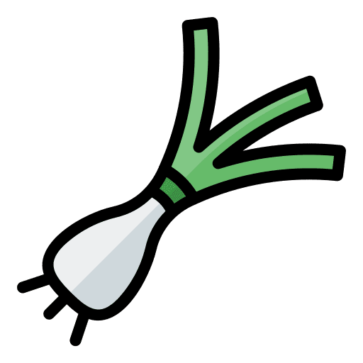 Leek diet healthy food gastronomy icon