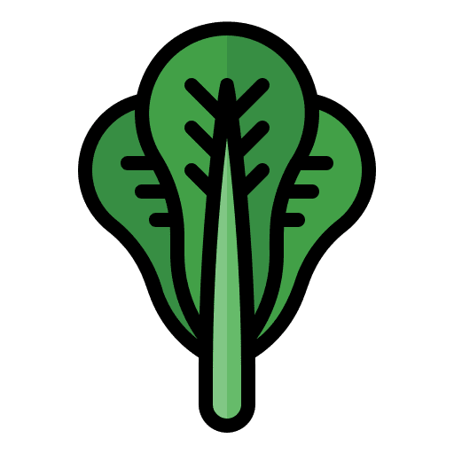Lettuce vegetable food and restaurant nutrition icon Lettuce vegetable food and restaurant nutrition icon