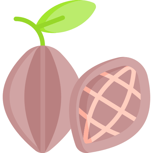 Cocoa bean chocolate bakery seed icon