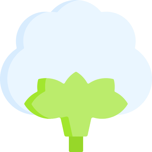 Cotton textile botanical cotton icon