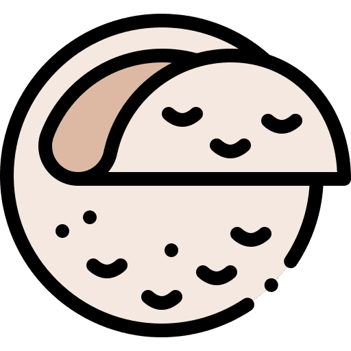 Tortilla tortillas tortilla food icon