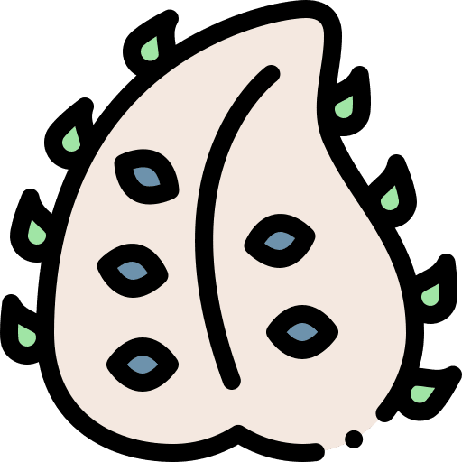Soursop food and restaurant vegetarian tropical icon