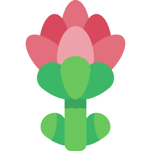 Protea nature protea plant icon Protea nature protea plant icon