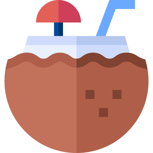 Coconut drink drink coconut drink straw icon