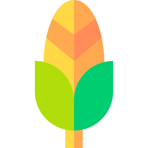 Corn healthy agriculture cereal icon