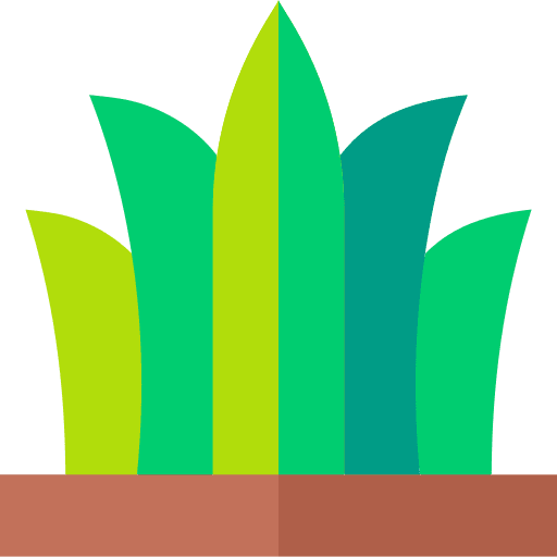 Grass plant woods forest icon Grass plant woods forest icon