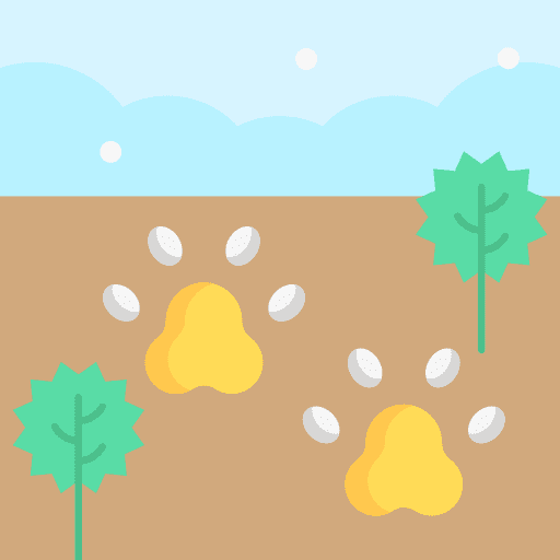 Paws animals dog footprint icon Paws animals dog footprint icon