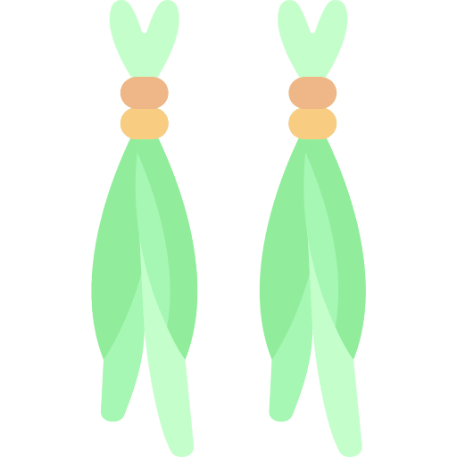 Calamus nature plant icon Calamus nature plant icon