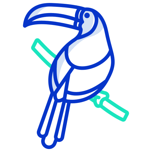 Toucan toucan wild life bird icon