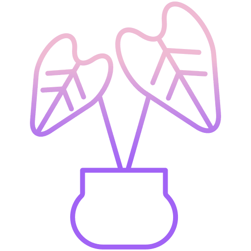 Rubber plant rubber pot plant icon