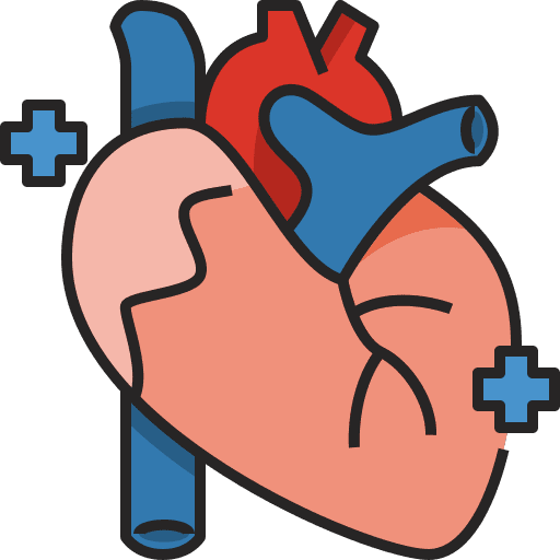 Heart organ muscle circulatory system icon