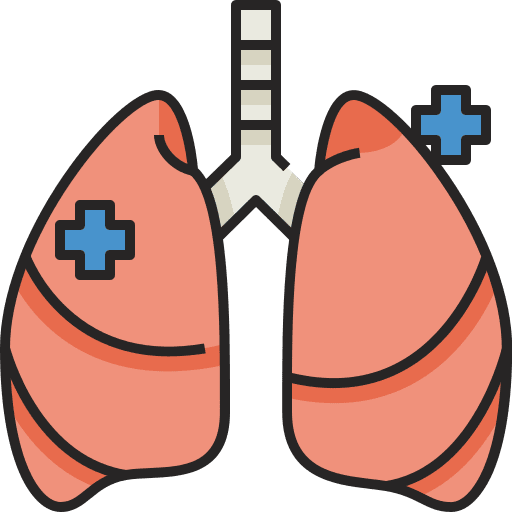 Lungs anatomy breath organ icon