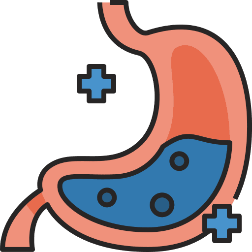 Stomach organ healthy anatomy icon Stomach organ healthy anatomy icon