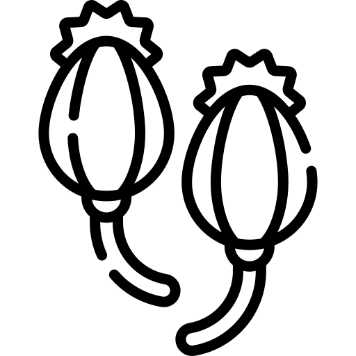 Opium smoke drugs medicine icon Opium smoke drugs medicine icon