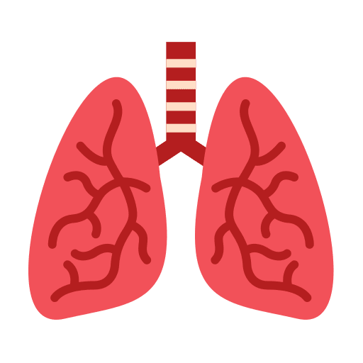 Lunges lunges thorax body part icon