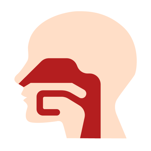 Pharynx nose healthcare and medical nasal icon
