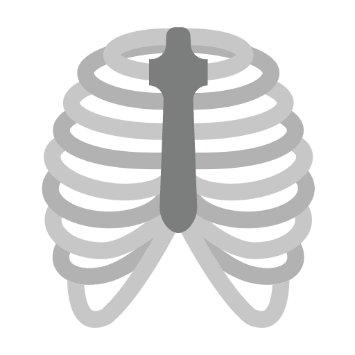 Rib cage anatomy thorax skeleton icon