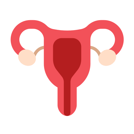 Uterus pregnancy anatomy ovaries icon