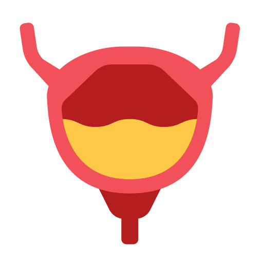 Bladder pipe organ bladder pipe cystitis icon Bladder pipe organ bladder pipe cystitis icon