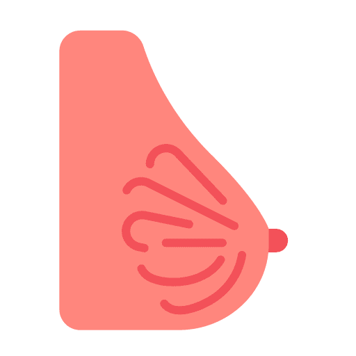 Breast mammary gland bust healthcare and medical icon Breast mammary gland bust healthcare and medical icon