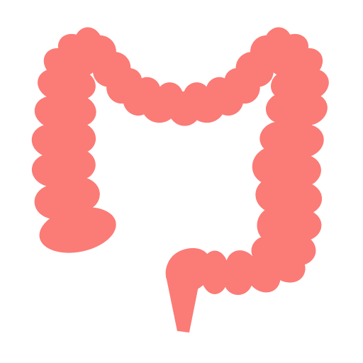 Colon colon body organ gastroenterology icon Colon colon body organ gastroenterology icon