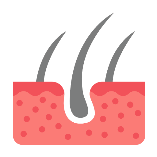 Dermis skin healthcare and medical dermis icon Dermis skin healthcare and medical dermis icon