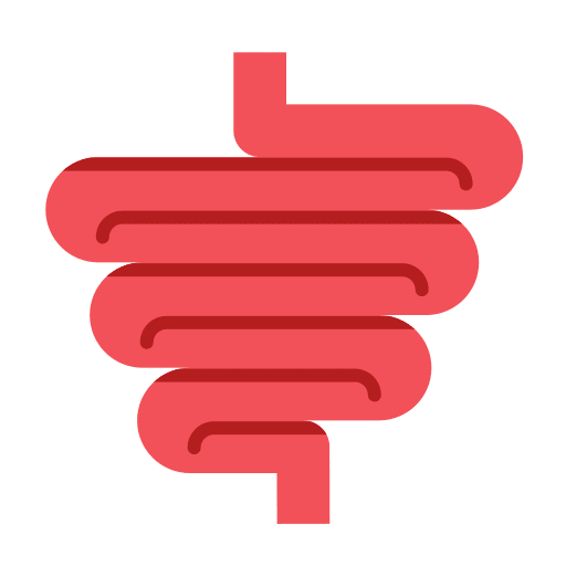 Intestine body parts intestine physiology icon Intestine body parts intestine physiology icon