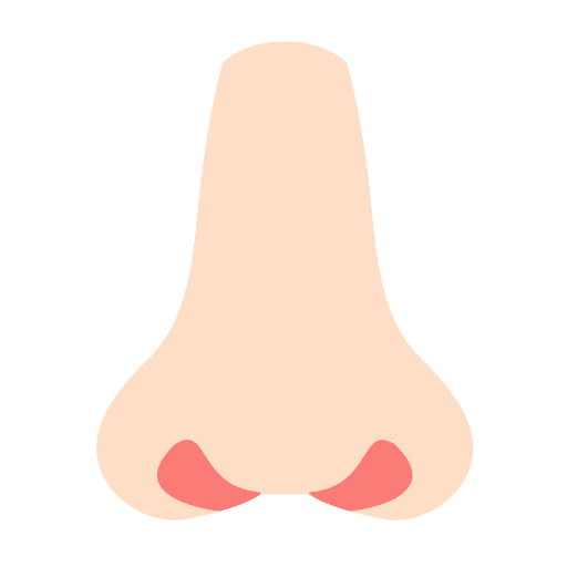 Nose smell human body body parts icon Nose smell human body body parts icon