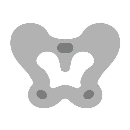 Pelvis body part human body pelvis icon Pelvis body part human body pelvis icon