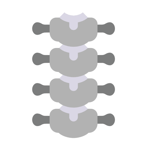 Spine body parts human body bones icon Spine body parts human body bones icon