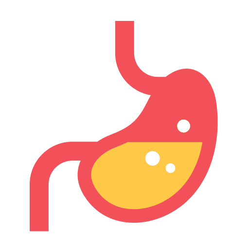 Stomach human body body parts stomach icon Stomach human body body parts stomach icon