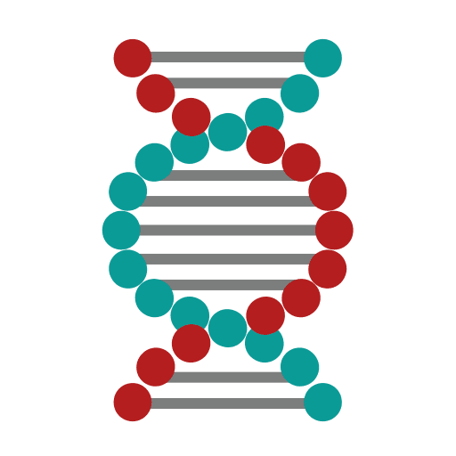 Dna structure dna strand dna structure deoxyribonucleic acid icon Dna structure dna strand dna structure deoxyribonucleic acid icon