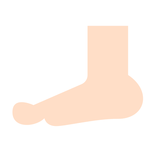 Foot anatomy toe human body icon Foot anatomy toe human body icon