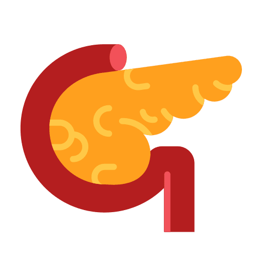 Pancreas body organ pancreas anatomy icon Pancreas body organ pancreas anatomy icon