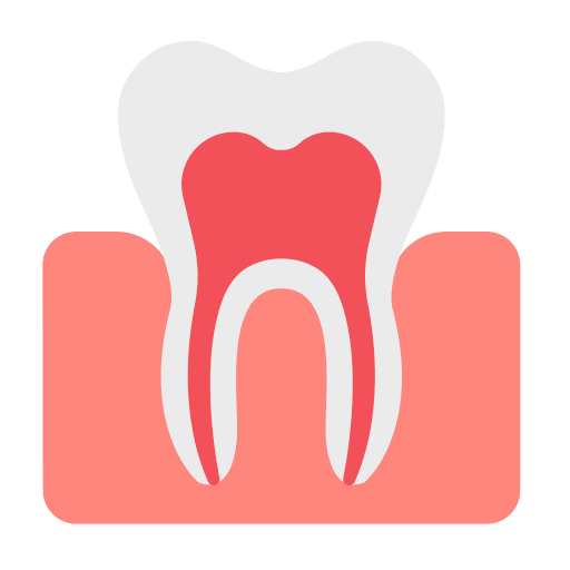 Tooth tooth premolar dentist icon Tooth tooth premolar dentist icon
