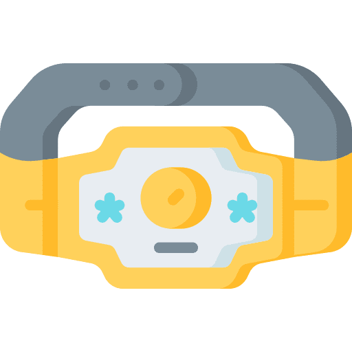 Belt sport wrestling boxer icon