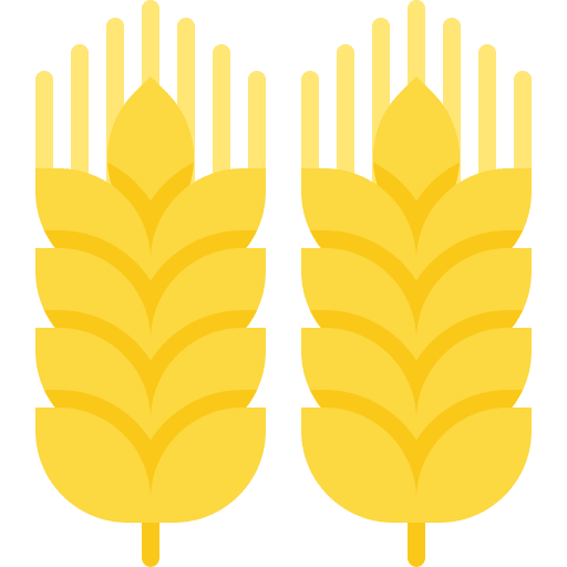 Wheat farming and gardening seed wheat icon