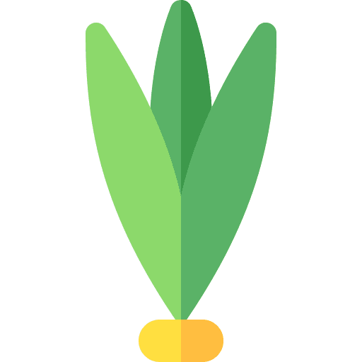 Calamus leaf plant nature icon Calamus leaf plant nature icon